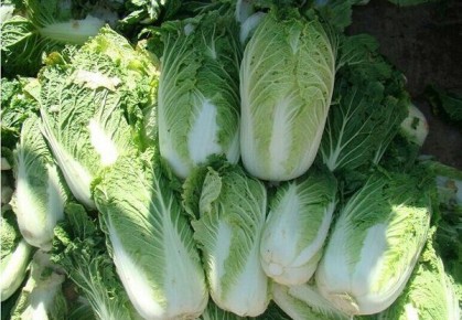 ��� ��������� ��������� ��������� �������: ������ ��� ������ ����