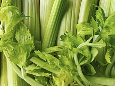 ��� �������� ���������������� ������ ��� ����������� ���������