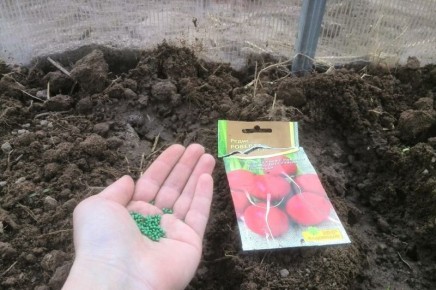 ��� �������� � ������� � ������: ������� ������� ������