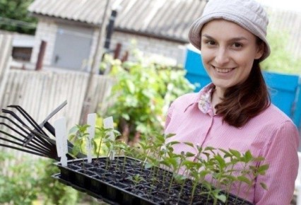 ����������� ����������� ����� ��� �����: ������� ���������