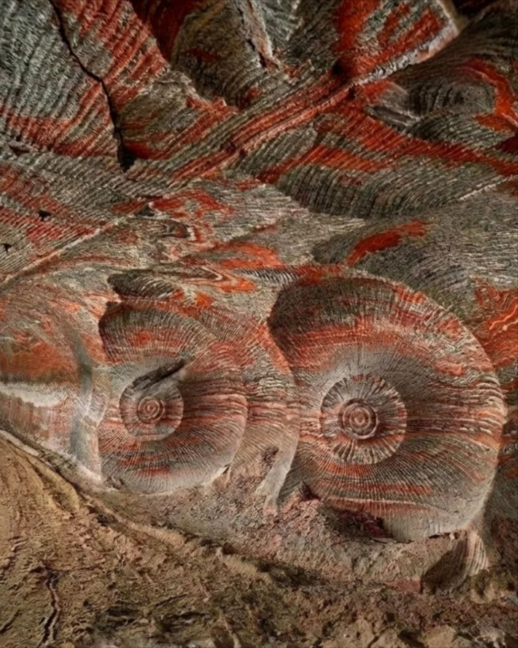 Психоделические узоры карналлитовой шахты Психоделические узоры карналлитовой шахты