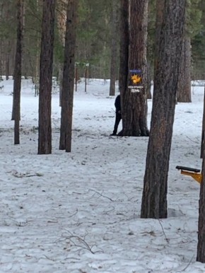 ������� ��� ������� � ����������� ����, �������� �������� � ��������