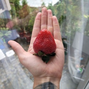 ������ �� �� ����� ������������ ���� ������� ����