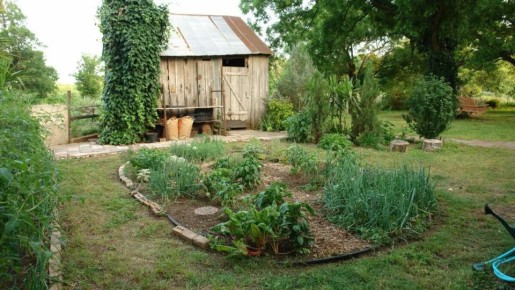 Почему стоит использовать белизну для обработки сада?