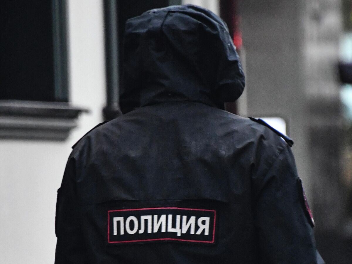 Снижение числа тяжких преступлений в России: итоговый отчет МВД