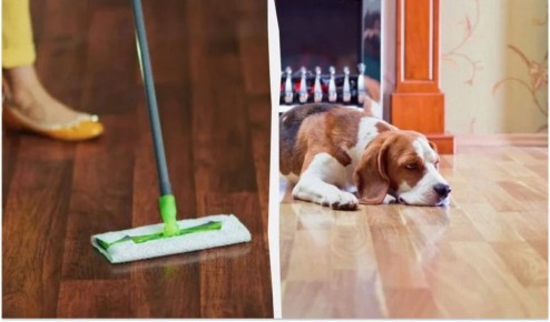 Как придать блеск старому паркету: проверенные советы по уходу