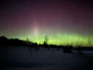 Северную Аврору можно было увидеть этой ночью в Пермском крае