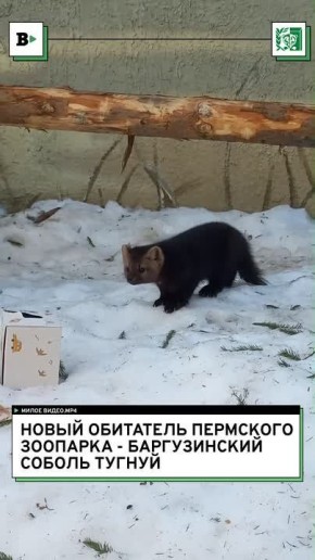 ���������� � �������� ��������: ���������� � ������������ ������ ������