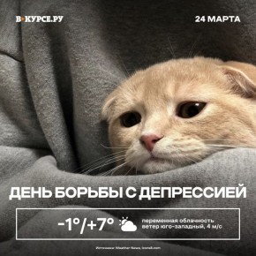 ������ ����, �����! �� +7 �������� ���������� ������ � �����