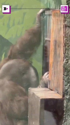 ������� ����� � ���� � ������ ���� ���������� ����� ������