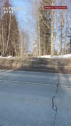 ����������� �������� ������ ������������ �������� �� ���������� � ��������� ���� ������� �. �������� � ����� � ����������� ������������ ����������� ����������� ������