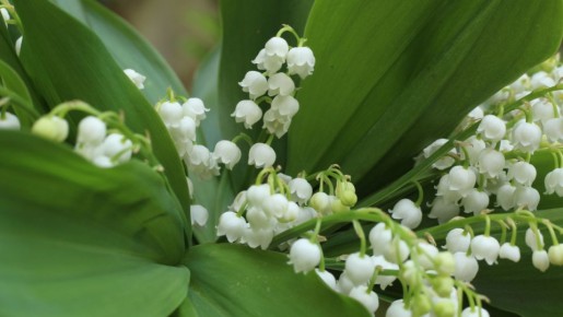 ��� �������� ����� ������� ��������� � ������ � 1 ������?