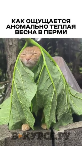 ��������� ������� �� �� �����.��