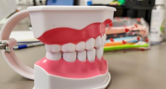 Как правильно ухаживать за зубами: советы от Роспотребнадзора