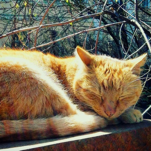 Сегодня, благодаря затоку тропического воздуха, Пермь приближается к одиннадцатому температурному рекорду марта