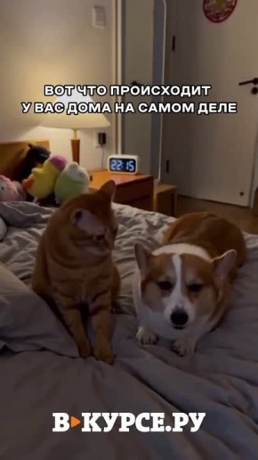 ��������� ������� �� �� �����.��