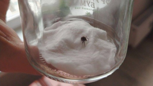 ���� ������ ������� � ������������� ������