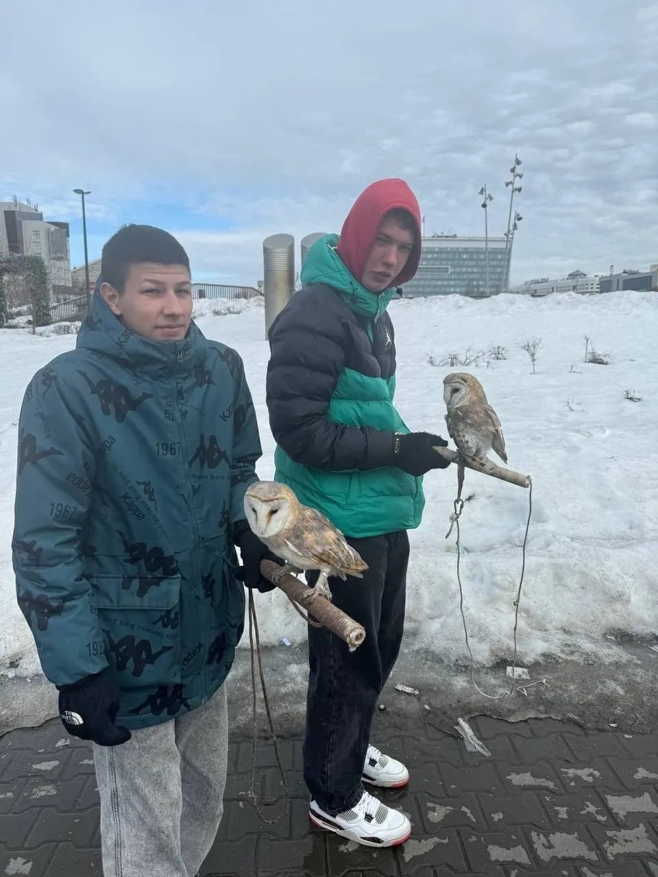 На эспланаде пpeдлaгaют пглaдить и cфтгpaфиpвaтьcя c совами за 3000 рублей