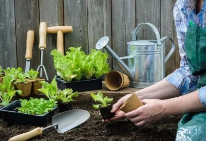 ���������� �����: ��� ������ � ��� ��������� �� ������ ���������� � 29 ����� �� 4 ������