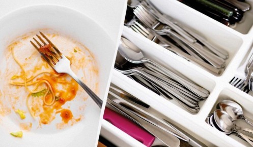 ��� ������ ������� ������ �����: ������� � ����������� ������ �������