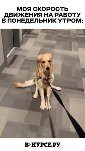 �������� ������� �� �� �����.��