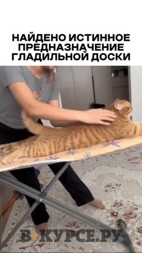 ��������� ������ �� �� �����.��