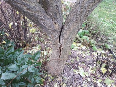 ������� ����: ��� �������� ���� � ���������