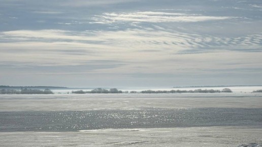 ������ 2026 ���� � �������� ���� ����� ������ � �����������