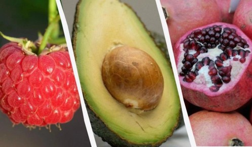 ������ ��� �������� ������ ���������: ���� ������ ���������� ���������