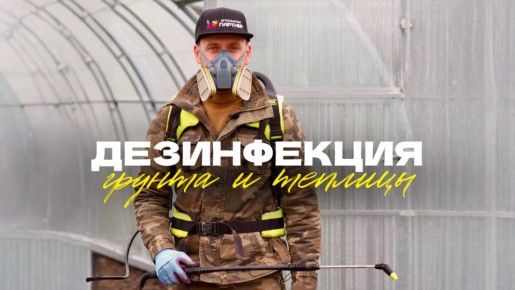 ��� ��������� ��������������� ����� � ������� ��� ������������� ������