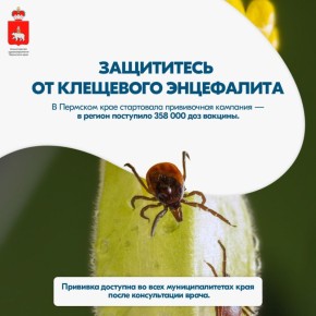 Осторожно — клещи!. В Прикамье уже начался сезон активности клещей