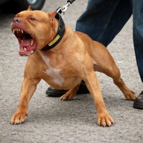 ��������������� ������ ����� �� ������� � ������