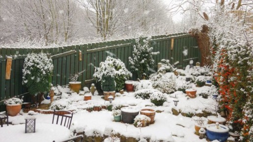 �������� ���� ��� ���������� ���� � ���� � ������