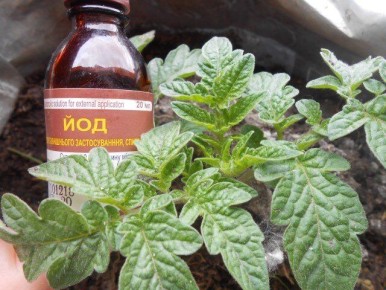 ��� ��� ����� ����������� ��� ��� � ������