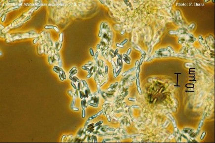 ��� ���� ������� ������ ���� ���������� �� ����������