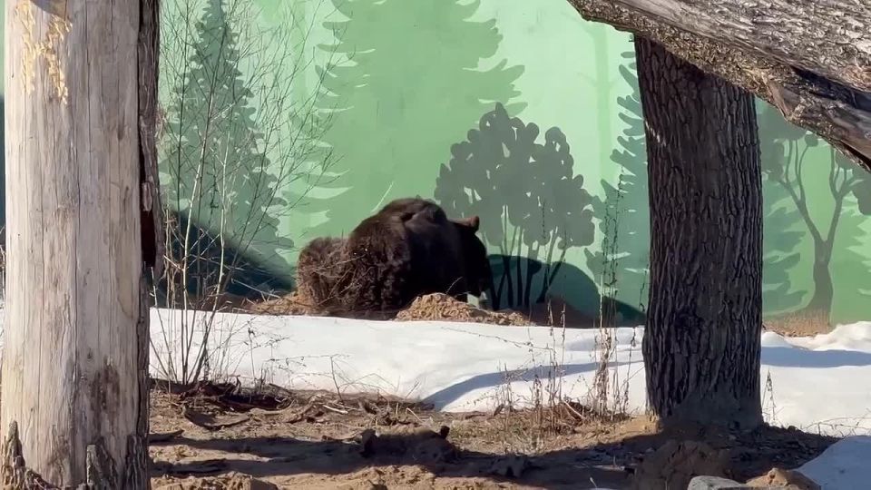 ����� ��������� �������� ����������