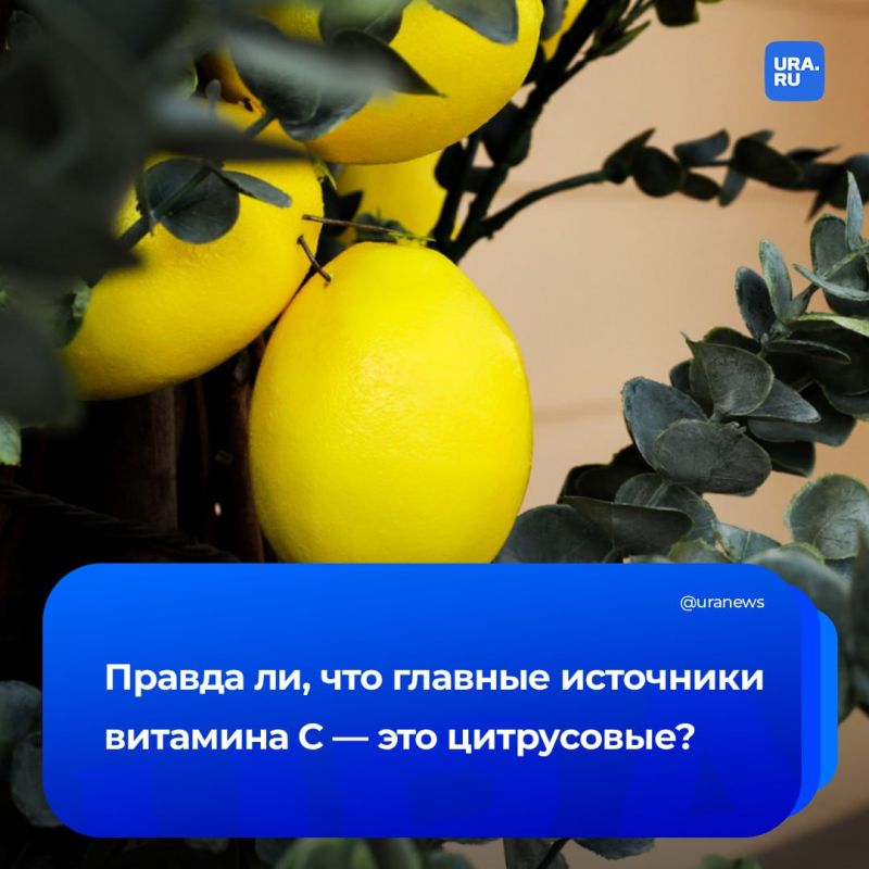 ���� � �������� � �������� �������� ������