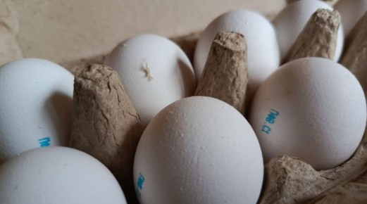 � ��������� �������� ���������� ������������ ������� ��������