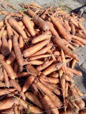 ��� �������� ������ ��� ������ ������� � ��� �������� ������� � ��������