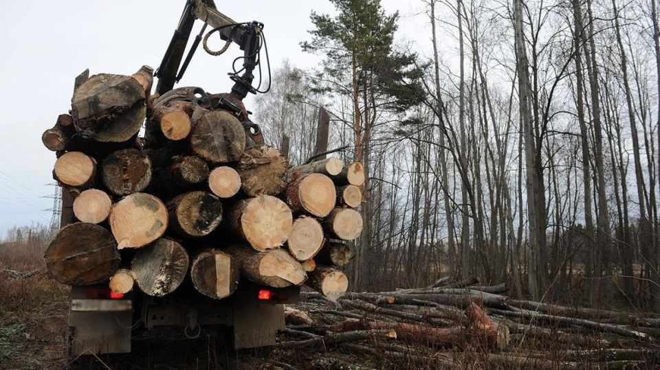 � �������� ������� � ���� ������� ���������, ������� ������� ����� 600 �������� �� 28 ��������� ������