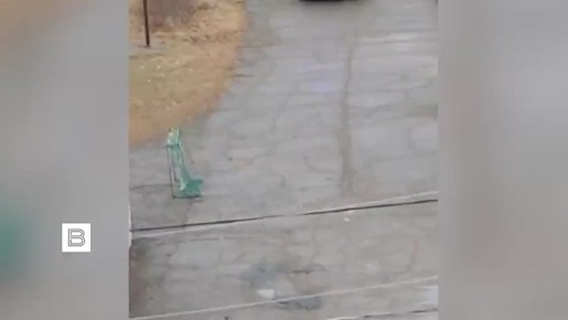 ���������, ������� ���� ����������� � ����� �������� ����, ��������� �� ��������������� ����������