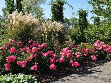 ��� ���������� ������ ���� � ������ ���: ������ ���� ��� �������