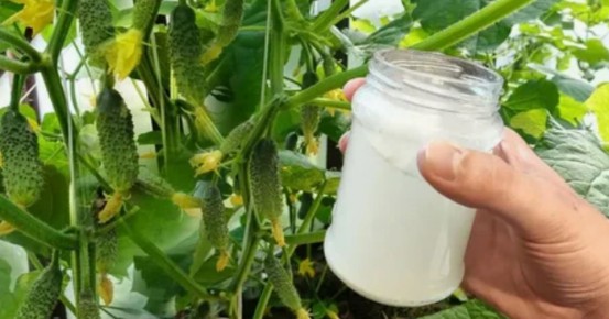 ��� �������� �������� ������� �� ����������: ������� ��������� �����