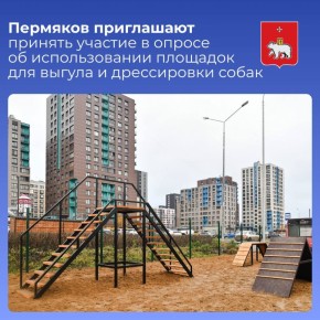 Пермяков приглашают принять участие в опросе об использовании площадок для выгула и дрессировки собак