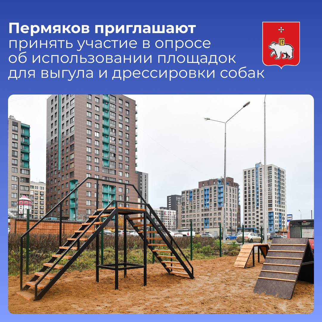 Пермяков приглашают принять участие в опросе об использовании площадок для выгула и дрессировки собак