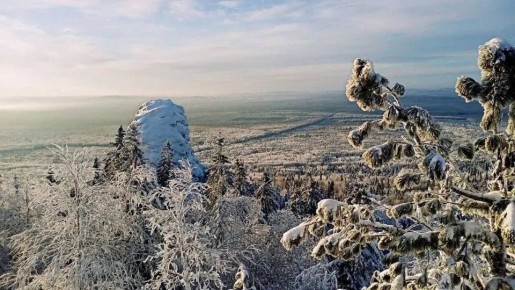 ������� ����� � ������ ��������� �������� ����� 9 ������