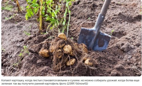 ������� ���������� ������: ��� �����, ����� ������ ����� �������� ��������