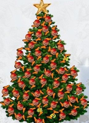 ����������: �������� ��������� ��� ��������