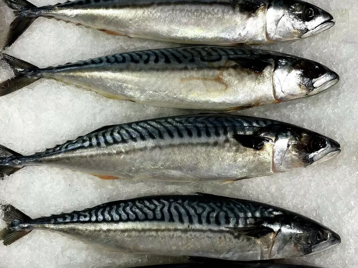 Почему скумбрия должна стать частью вашего рациона