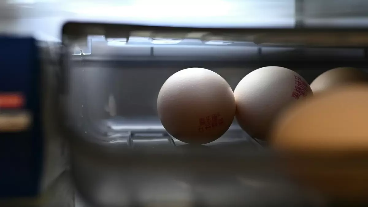 Почему яйца не стоит хранить на дверце холодильника: важные советы экспертов